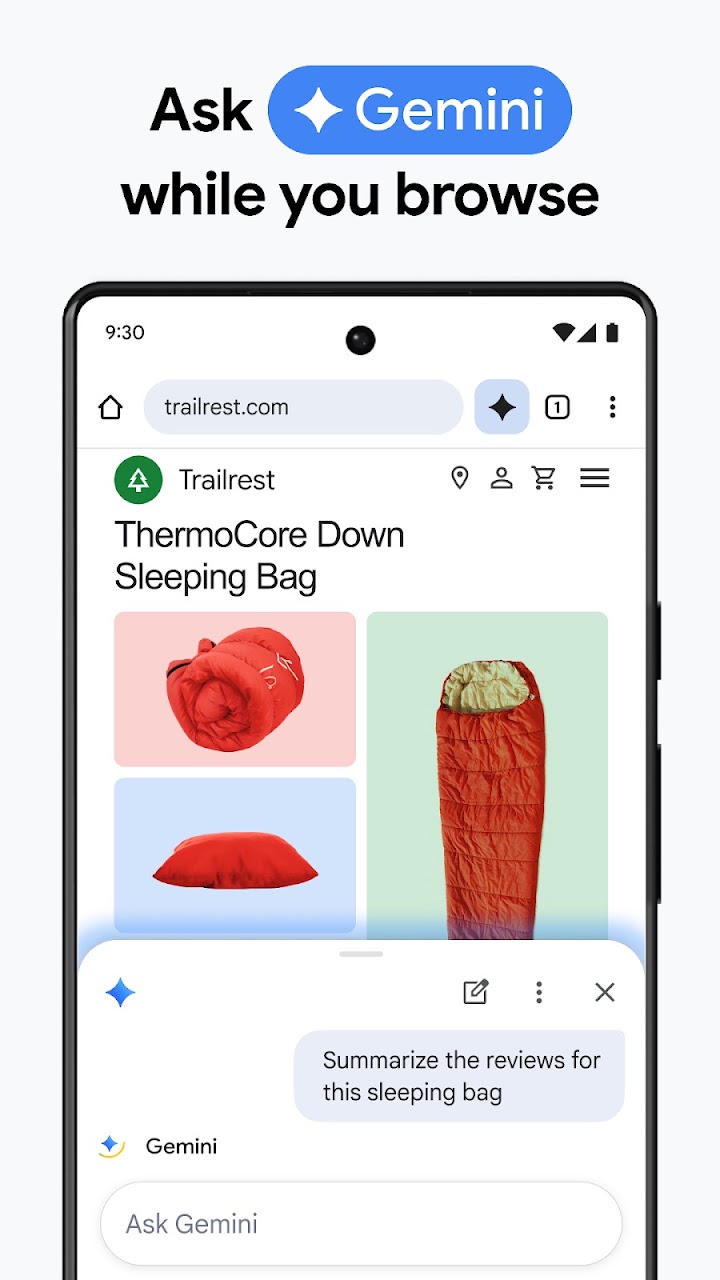 Google Chrome screenshot